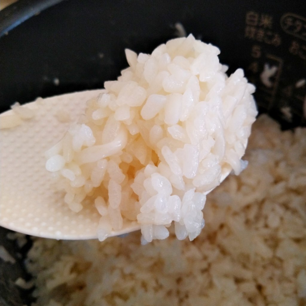 【糖質オフご飯の炊き方】紀文の糖質０g麺で！簡単低糖質ごはん